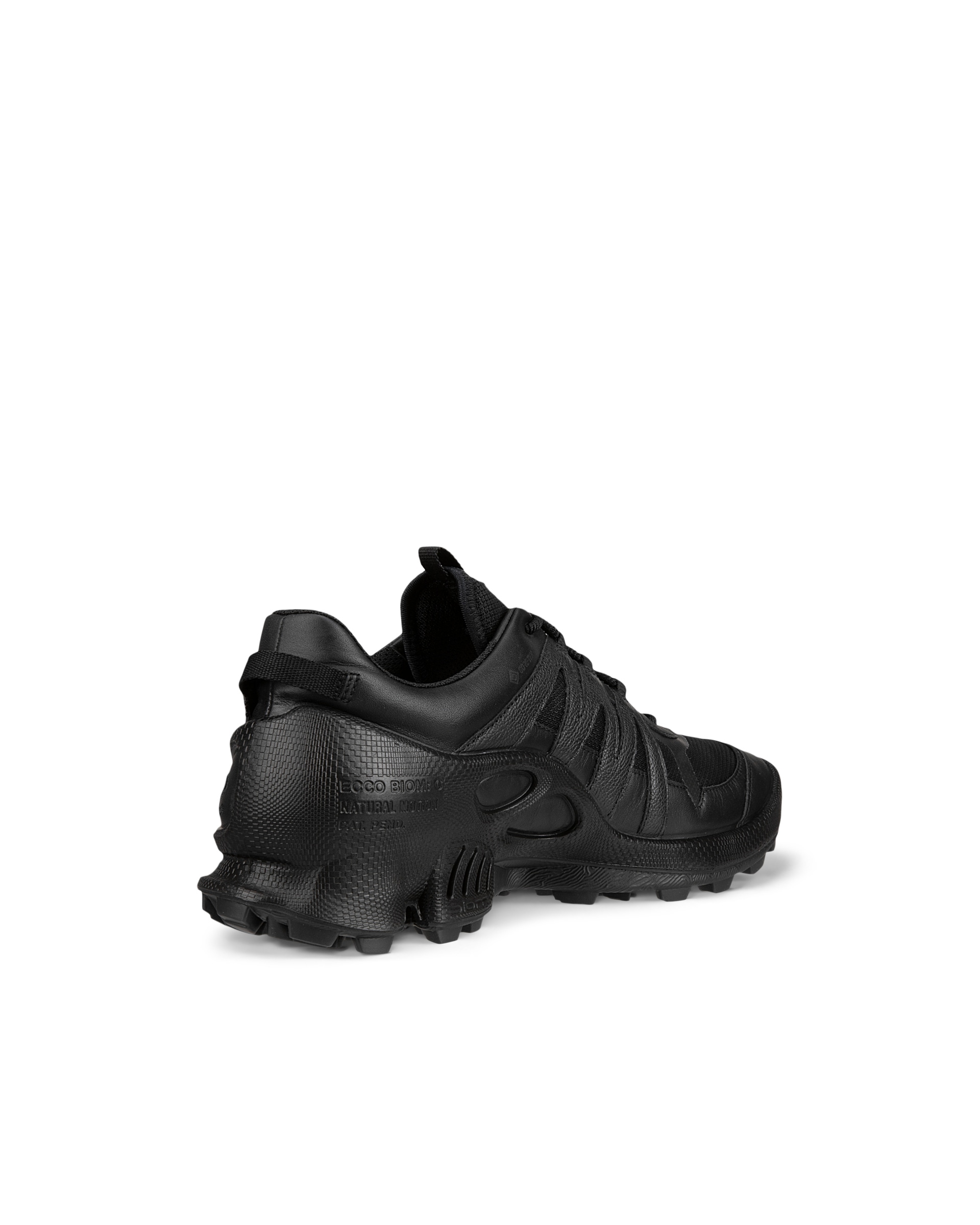 Men's ECCO® BIOM C-Trail Leather Gore-Tex Outdoor Sneaker - Black - Back